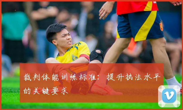裁判体能训练标准：提升执法水平的关键要求