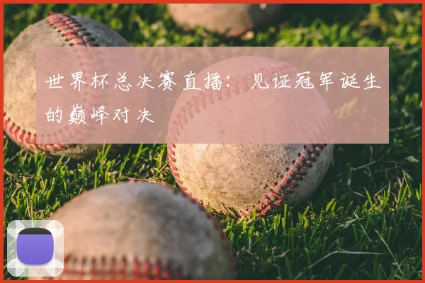 世界杯总决赛直播：见证冠军诞生的巅峰对决
